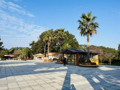 蒲江九仙山法华寺