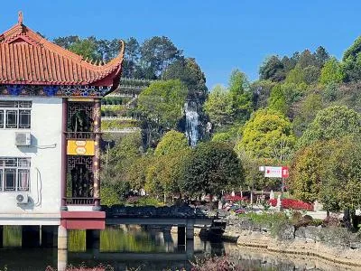 红枫陵园松柏小径